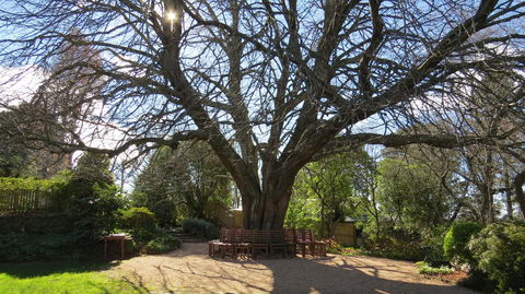 Nesuto Leura Gardens (formerly Waldorf Leura Gardens Resort) - Accommodation Port Macquarie 3