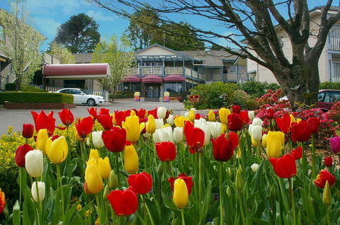 Nesuto Leura Gardens (formerly Waldorf Leura Gardens Resort) - Accommodation Port Macquarie 0