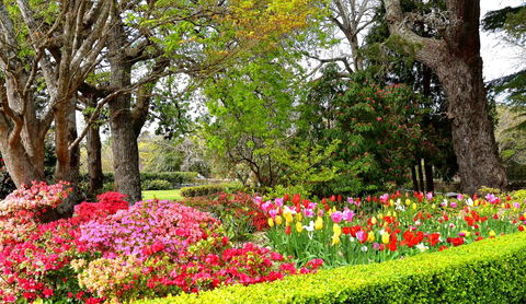 Nesuto Leura Gardens (formerly Waldorf Leura Gardens Resort) - Accommodation Port Macquarie 8
