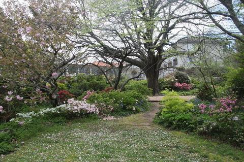 Nesuto Leura Gardens (formerly Waldorf Leura Gardens Resort) - Accommodation Port Macquarie 4