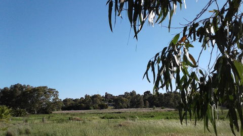 Junee Motor Inn - Accommodation Port Macquarie 8