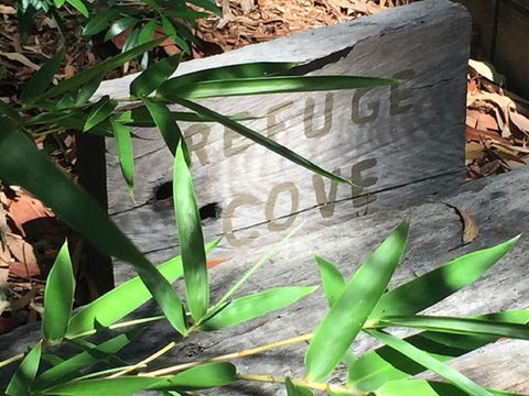 Refuge Cove On Pittwater - Accommodation Port Macquarie 12