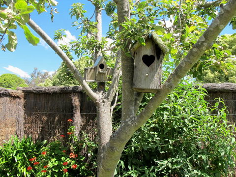 Apple Tree Cottage - Accommodation Port Macquarie 28
