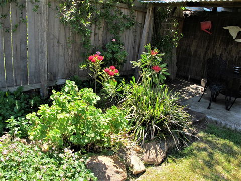 Apple Tree Cottage - Accommodation Port Macquarie 26