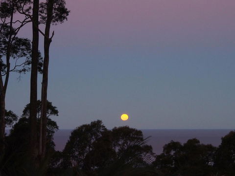 Bundle Hill Cottages - Accommodation Port Macquarie 36