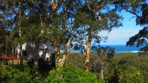 Bundle Hill Cottages - Accommodation Port Macquarie 7