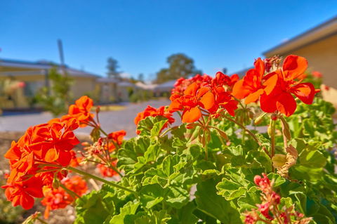 Hunter Oasis - Accommodation Port Macquarie 42