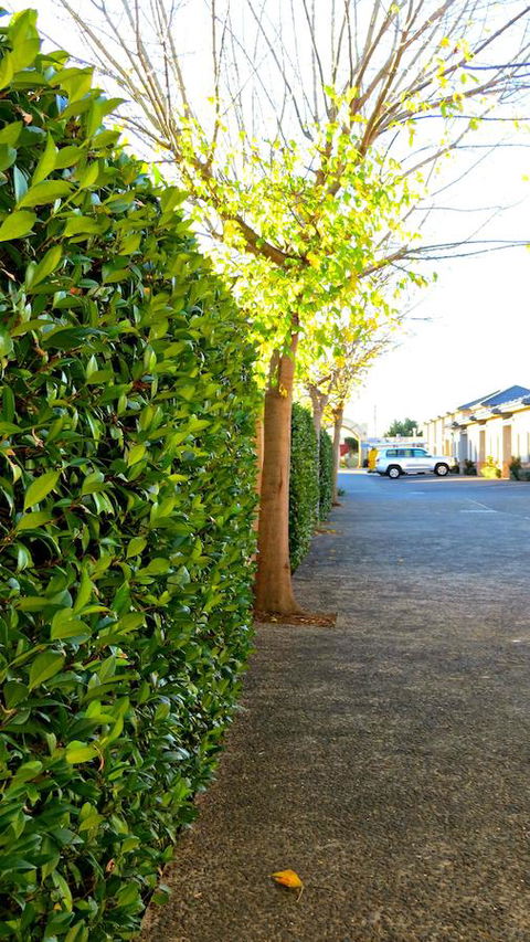 Best Western Plus Goulburn - Accommodation Port Macquarie 37