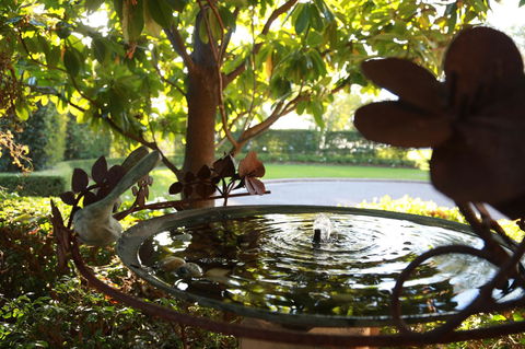 Peppers The Hills Lodge - Accommodation Port Macquarie 30
