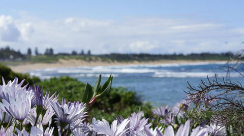 Blue Lagoon Beach Resort - Accommodation Port Macquarie 18