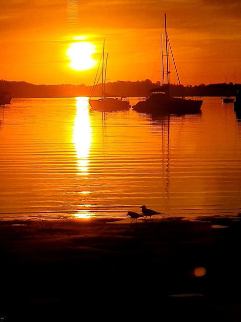 Marina Resort - Accommodation Port Macquarie 3