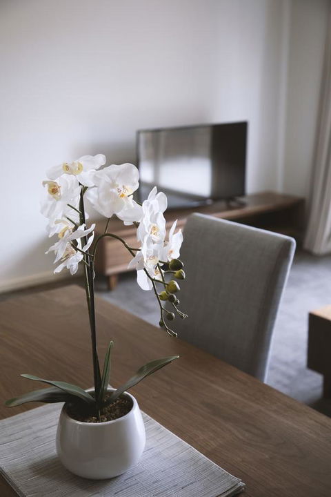 Quest Wagga Wagga - Accommodation Port Macquarie 11