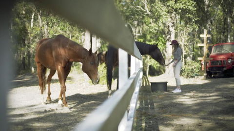 The Woods Farm Jervis Bay - Accommodation Port Macquarie 13