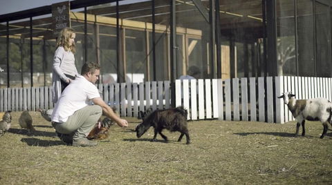 The Woods Farm Jervis Bay - Accommodation Port Macquarie 14