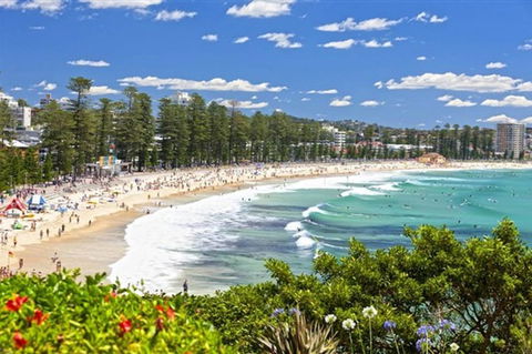 Oversized 2 Bedroom Manly Beach House - Accommodation Port Macquarie 12