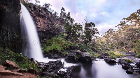 Pound Creek Gallery - Accommodation Port Macquarie 14