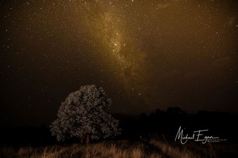 Pound Creek Gallery - Accommodation Port Macquarie 12