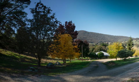 Pound Creek Gallery - Accommodation Port Macquarie 7