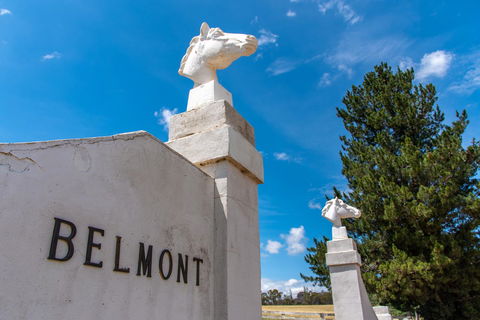 Belmont - Accommodation Port Macquarie 4