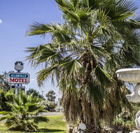 Allonville Gardens Motel - Accommodation Port Macquarie