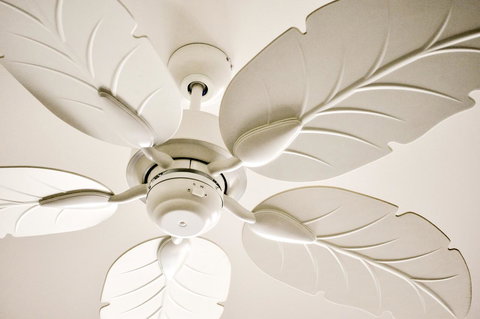 Cove Studios - Accommodation Port Macquarie 33