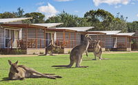 Book Pambula Beach Accommodation Vacations Accommodation Port Macquarie Accommodation Port Macquarie