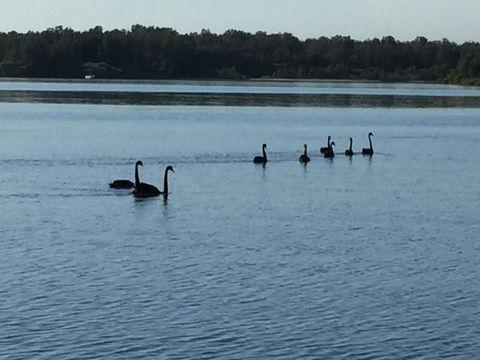 Swan Bay Hideaway - Accommodation Port Macquarie 7
