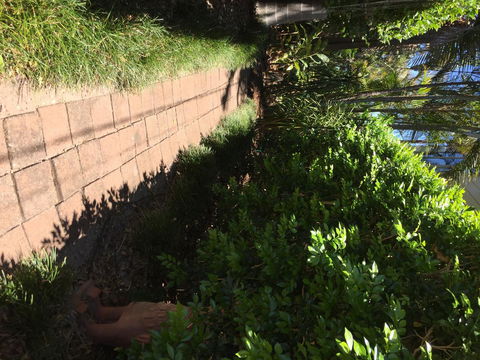 Swan Bay Hideaway - Accommodation Port Macquarie 6