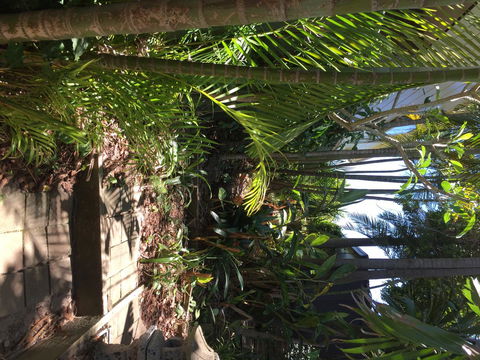Swan Bay Hideaway - Accommodation Port Macquarie 9