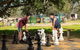 Corowa Bindaree Holiday Park - thumb 14