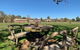 Corowa Bindaree Holiday Park - thumb 3