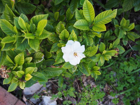 Bellevue Accommodation - Accommodation Port Macquarie 21