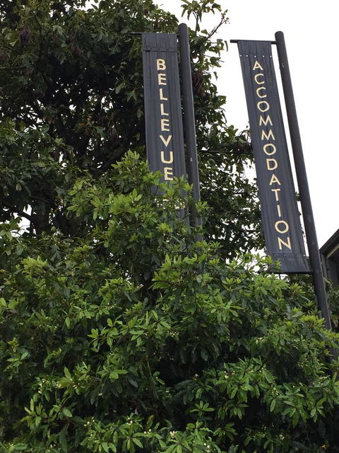 Bellevue Accommodation - Accommodation Port Macquarie 17