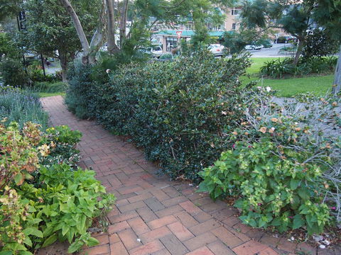 Bellevue Accommodation - Accommodation Port Macquarie 22