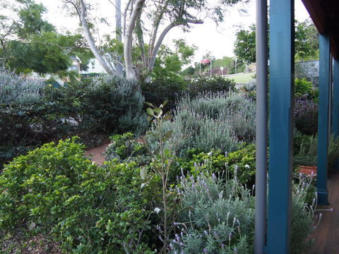 Bellevue Accommodation - Accommodation Port Macquarie 23