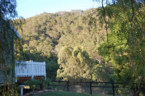 Cadair Cottages - Accommodation Port Macquarie 16