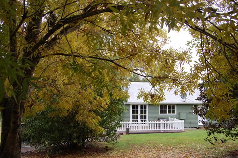 Cadair Cottages - Accommodation Port Macquarie 18