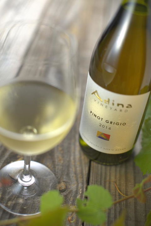 Adina Vineyard - Accommodation Port Macquarie 7