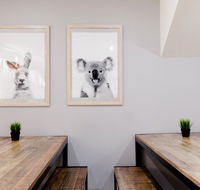 Mad Monkey Backpackers on Broadway - Accommodation Port Macquarie
