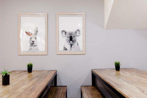 Mad Monkey Broadway - Accommodation Port Macquarie 0