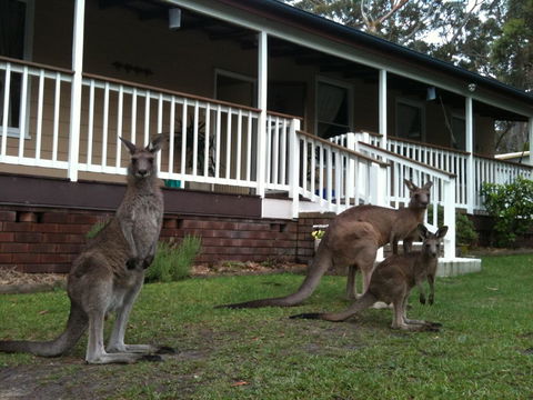 Bush & Bay Cottage - Accommodation Port Macquarie 30