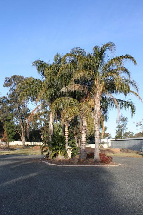 Temora Motel - Accommodation Port Macquarie 6