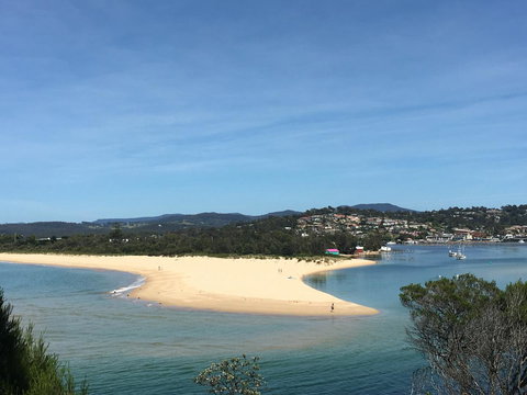 Black Dolphin Resort Motel & Apartments - Accommodation Port Macquarie 7