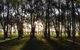 Moruya Motel - thumb 39