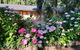 Moruya Motel - thumb 28
