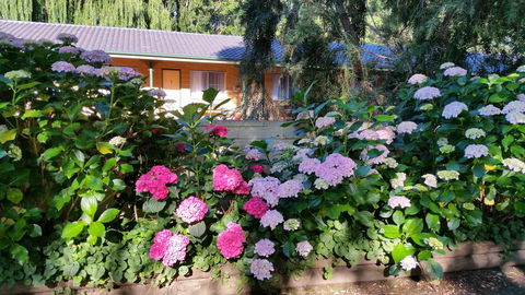 Moruya Motel - Accommodation Port Macquarie 28