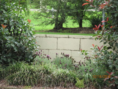 Moruya Motel - Accommodation Port Macquarie 16