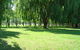 Moruya Motel - thumb 32