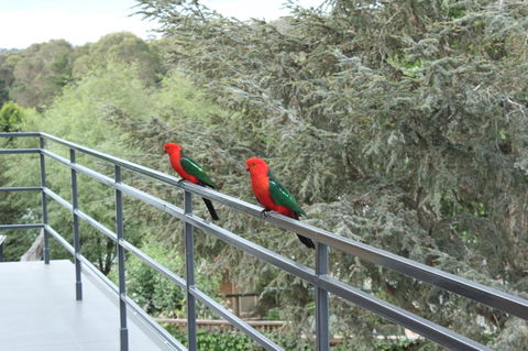 Bundanoon Lodge - Accommodation Port Macquarie 7