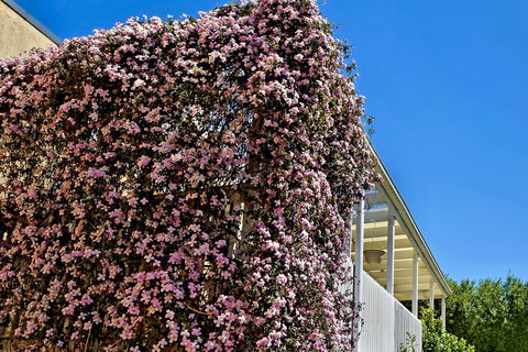 Bundanoon Lodge - Accommodation Port Macquarie 13